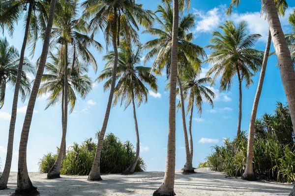 Discover wales' enchanting fortresses: must-know tips for your epic historical adventure