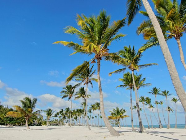 Discover the Top UK Spots for Spectacular Perseid Meteor Shower Viewing This Summer!