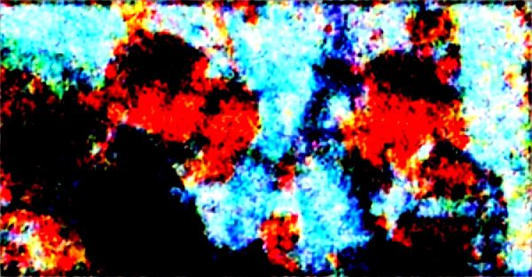 Find the perfect wedding officiant in paris